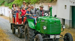 Weinherbst Poysdorf Reisekompass