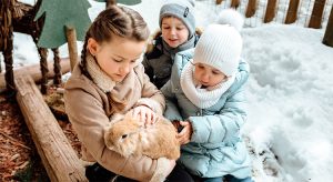 Die besten Kinderhotels in Europa Reisekompass 2022