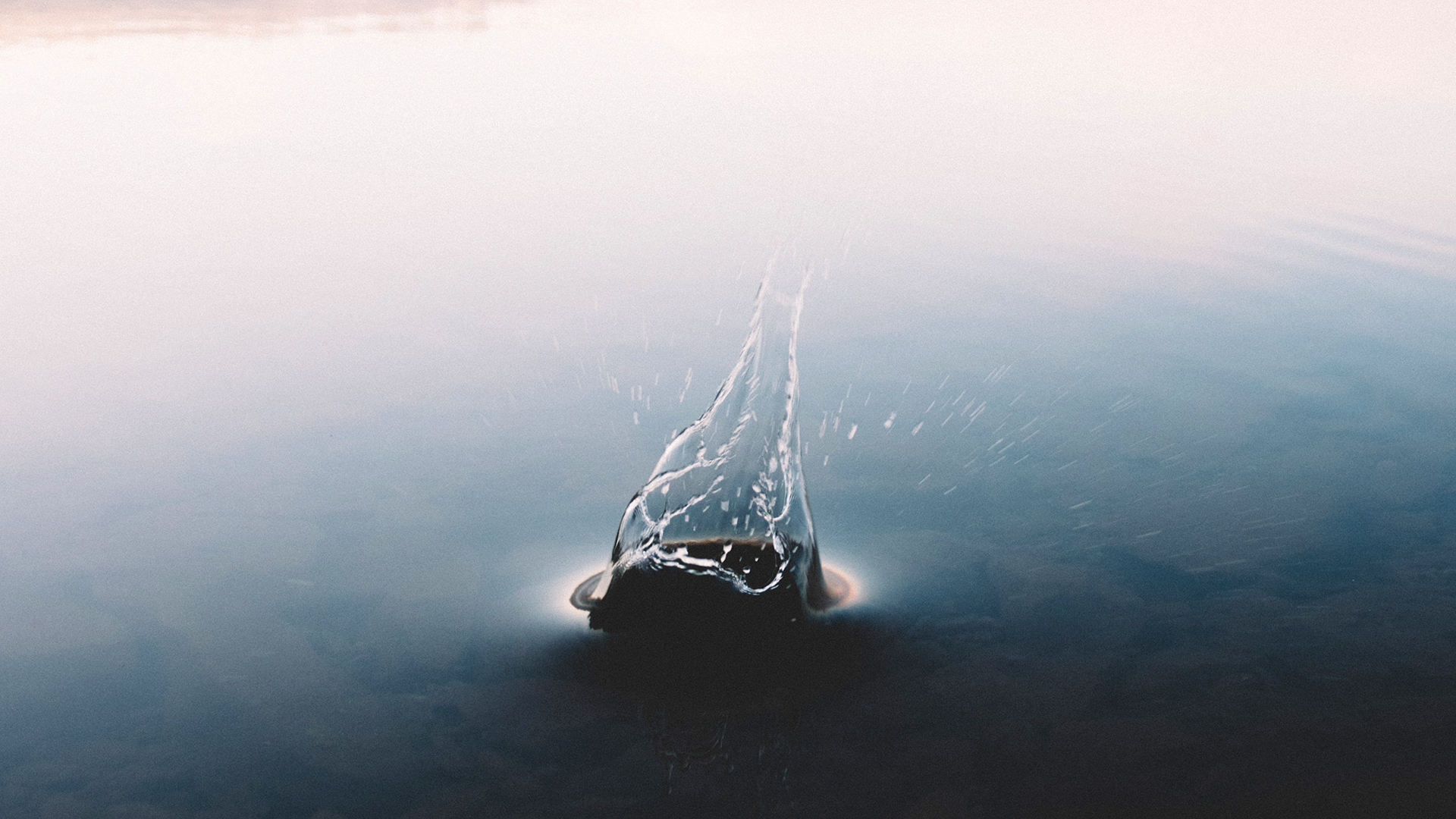 Brain-eating amoeba