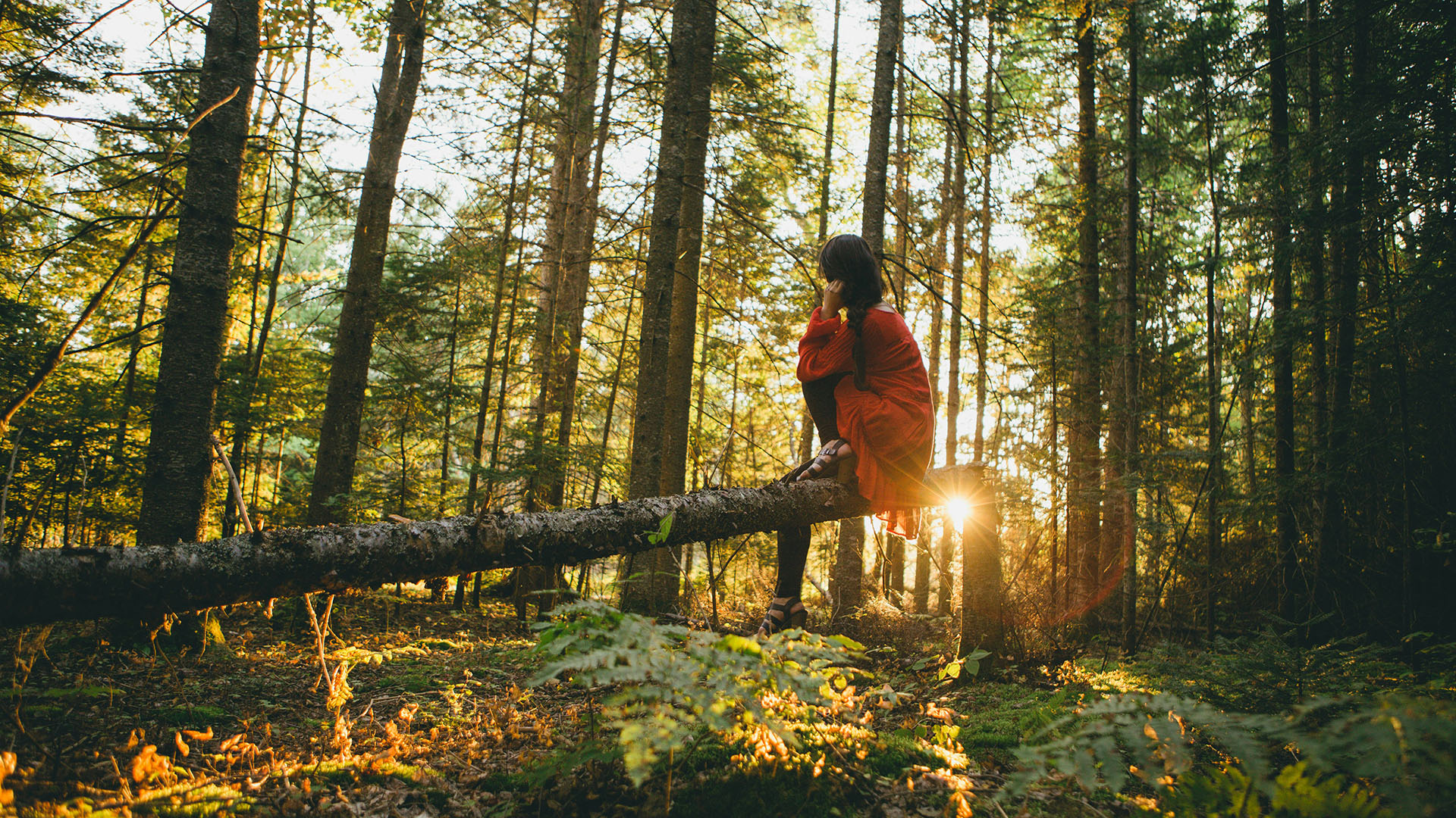 Bild einer Frau in einem Wald zu Artikel 20 beste Öko-Destinationen 2024