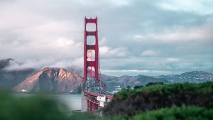 Mietwagenreisen USA 2024: Routen und Tipps (Foto von Vitaly Sacred via unsplash)