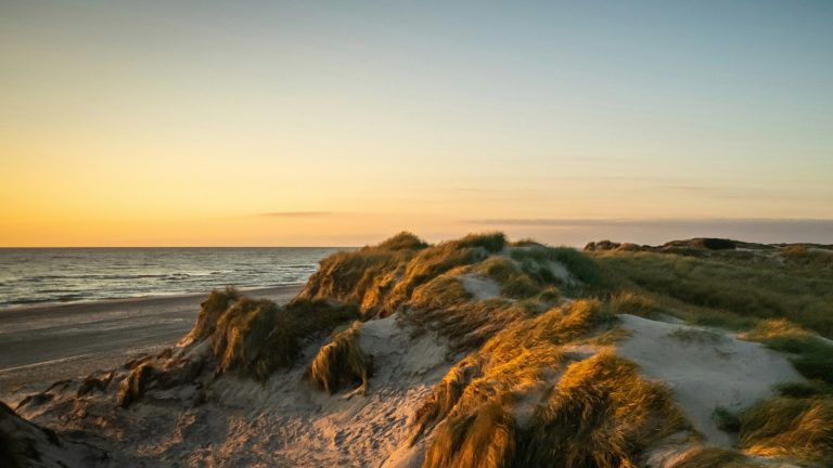 20 schönste Strände von Dänemark Reisekompass