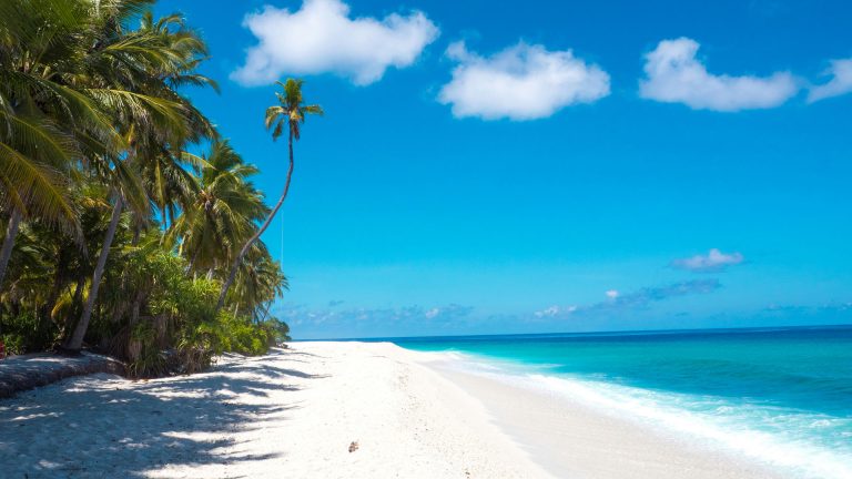 Das Bild zeigt einen Sandstrand mit Palmen auf den Malediven