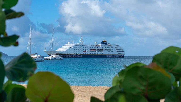 Das Bild zeigt das Kreuzfahrtschiff MS Hamburg vor einem Strand