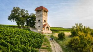 Das Bild zeigt Wanderer auf einer Hiwweltour in Rheinhessen