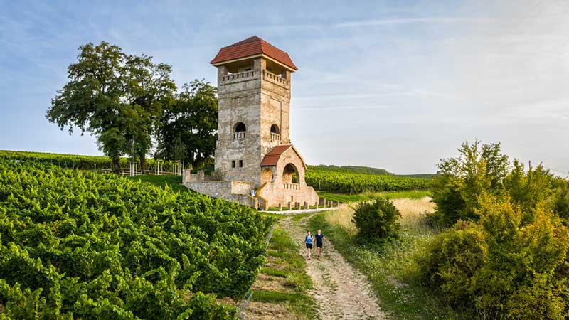Das Bild zeigt Wanderer auf einer Hiwweltour in Rheinhessen