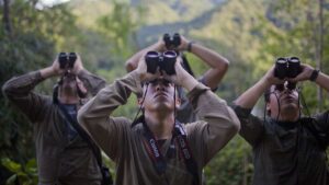 Das Bild zeigt Menschen beim Birdwatching