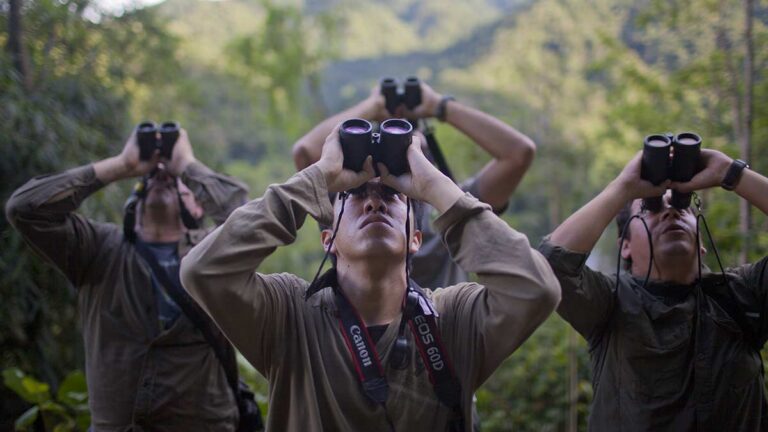 Das Bild zeigt Menschen beim Birdwatching