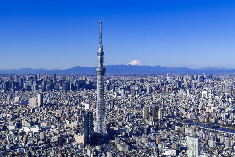 ©TOKYO-SKTREE